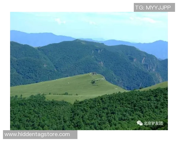 刘芳亲授攀岩技巧与经验分享助你轻松征服高峰