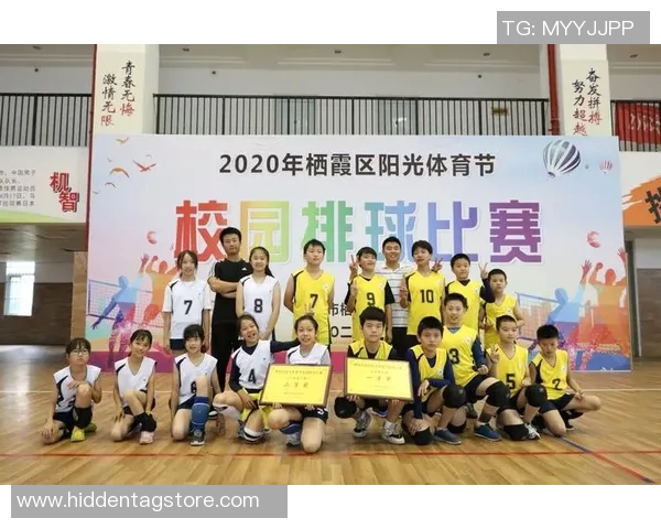 南京排球队在全国排球团队协作排行榜中荣获第六名的佳绩分析