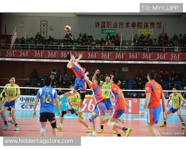 广州排球队选拔赛点评:团队协作展现实力与默契的完美结合 广州排球队选拔赛点评:团队协作展现实力与默契的完美结合