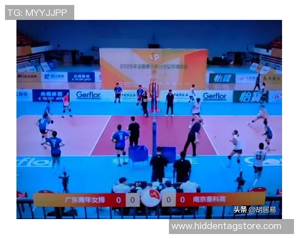 南京排球队进攻策略深度解析与战术创新探讨