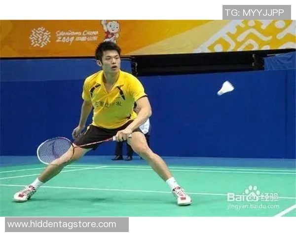 深入分析成都羽毛球队防守战术与技术特点的全面解读 深入分析成都羽毛球队防守战术与技术特点的全面解读