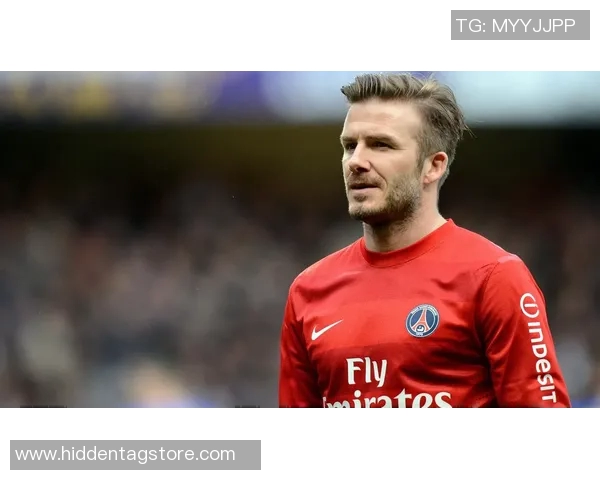 足球明星资料袋揭秘他们的成长历程与职业生涯的辉煌瞬间