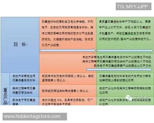 上海羽毛球队战术分析与未来发展方向探讨