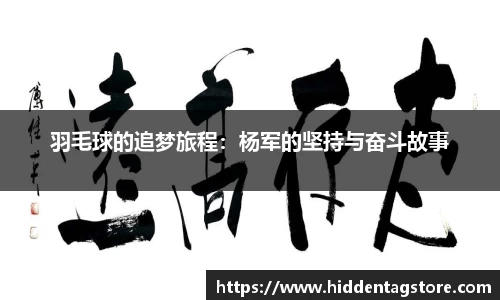 羽毛球的追梦旅程：杨军的坚持与奋斗故事