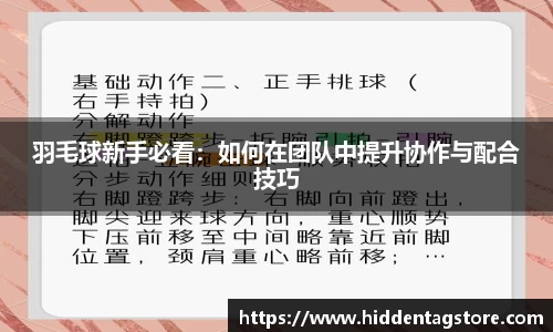 羽毛球新手必看：如何在团队中提升协作与配合技巧