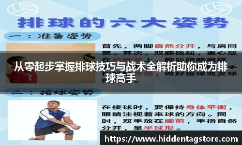 从零起步掌握排球技巧与战术全解析助你成为排球高手