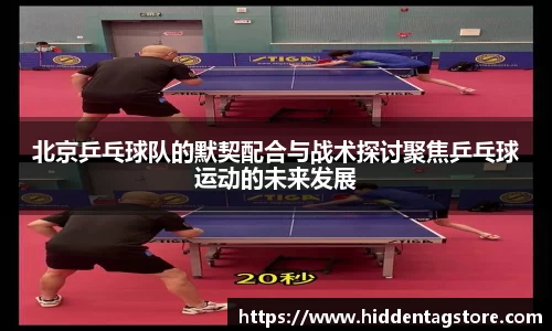 北京乒乓球队的默契配合与战术探讨聚焦乒乓球运动的未来发展